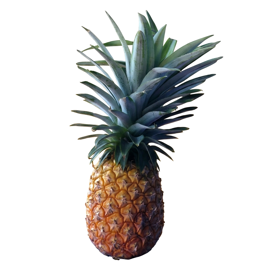 Detail Nanas